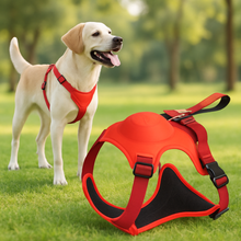 Lade das Bild in den Galerie-Viewer, FlexiHarness – Das Geschirr mit integrierter Leine