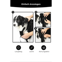 Lade das Bild in den Galerie-Viewer, FlexiHarness – Das Geschirr mit integrierter Leine