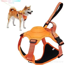 Lade das Bild in den Galerie-Viewer, FlexiHarness – Das Geschirr mit integrierter Leine