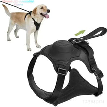 Lade das Bild in den Galerie-Viewer, FlexiHarness – Das Geschirr mit integrierter Leine