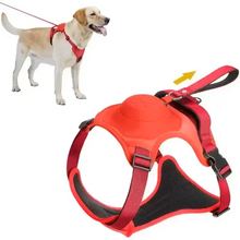 Lade das Bild in den Galerie-Viewer, FlexiHarness – Das Geschirr mit integrierter Leine
